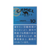 Camel Craft 10