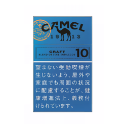 Camel Craft 10