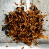 Alsbo Morning (Formerly Sungold) Pipe Tobacco - 10g Sample